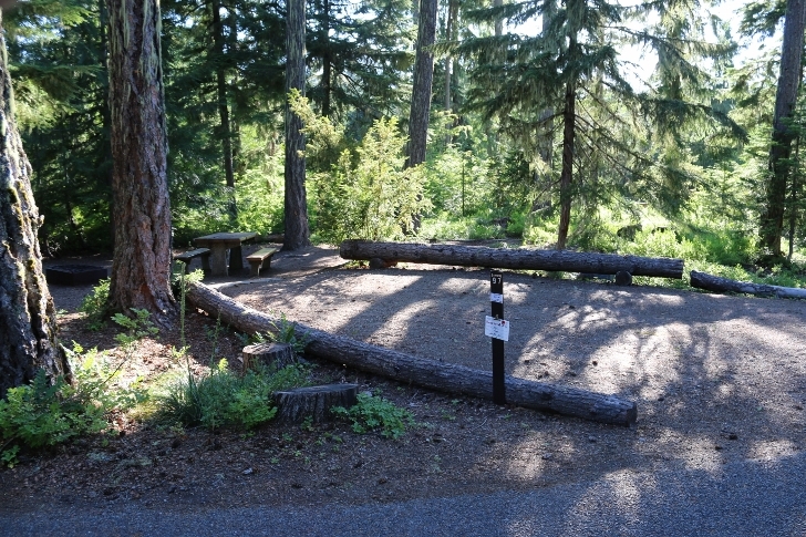 Camping in Washingtons Kachess Campground.